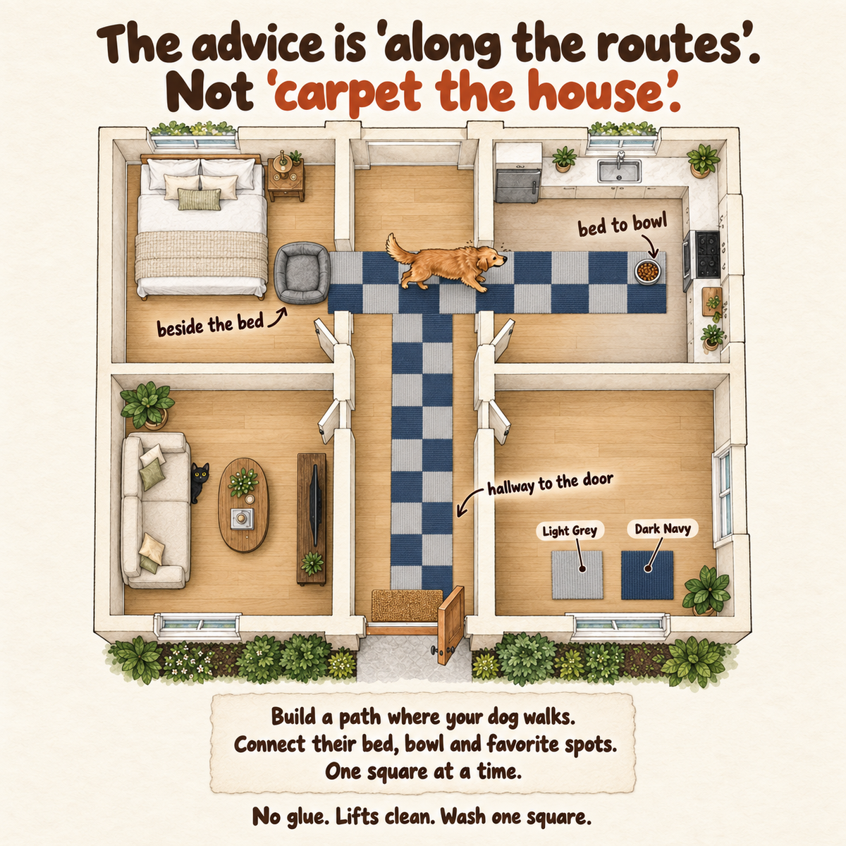 Illustrated floor plan of a home with a light grey and dark blue PawProof tile path running from beside the dog bed, across to the food bowl in the kitchen and down the hallway to the front door