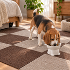 Healthy Shoulder PawProof Food & Water Bowl