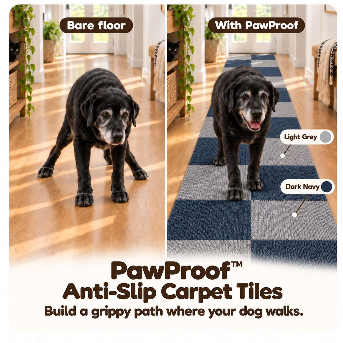 Two hallway photos side by side: an older black dog with a grey muzzle on bare hardwood, and the same dog on a PawProof path of light grey and dark blue carpet tiles laid two tiles wide