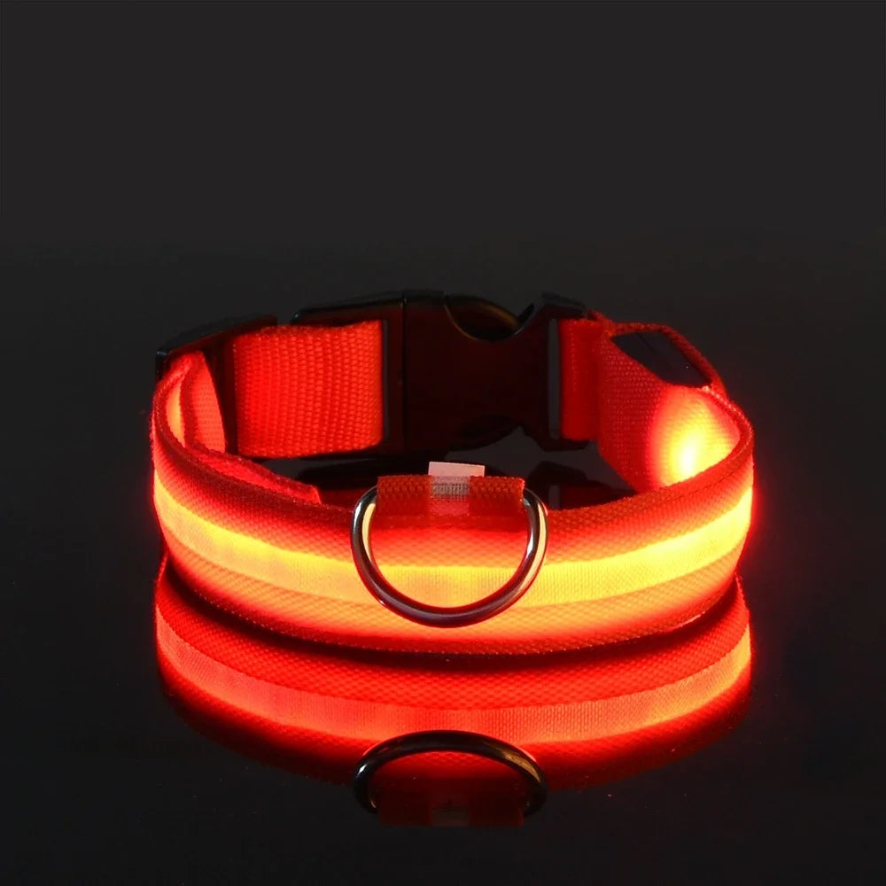 Neon Light Pet Collar