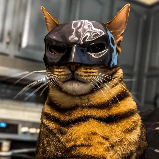 BatCat Mask