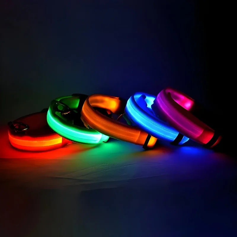 Neon Light Pet Collar