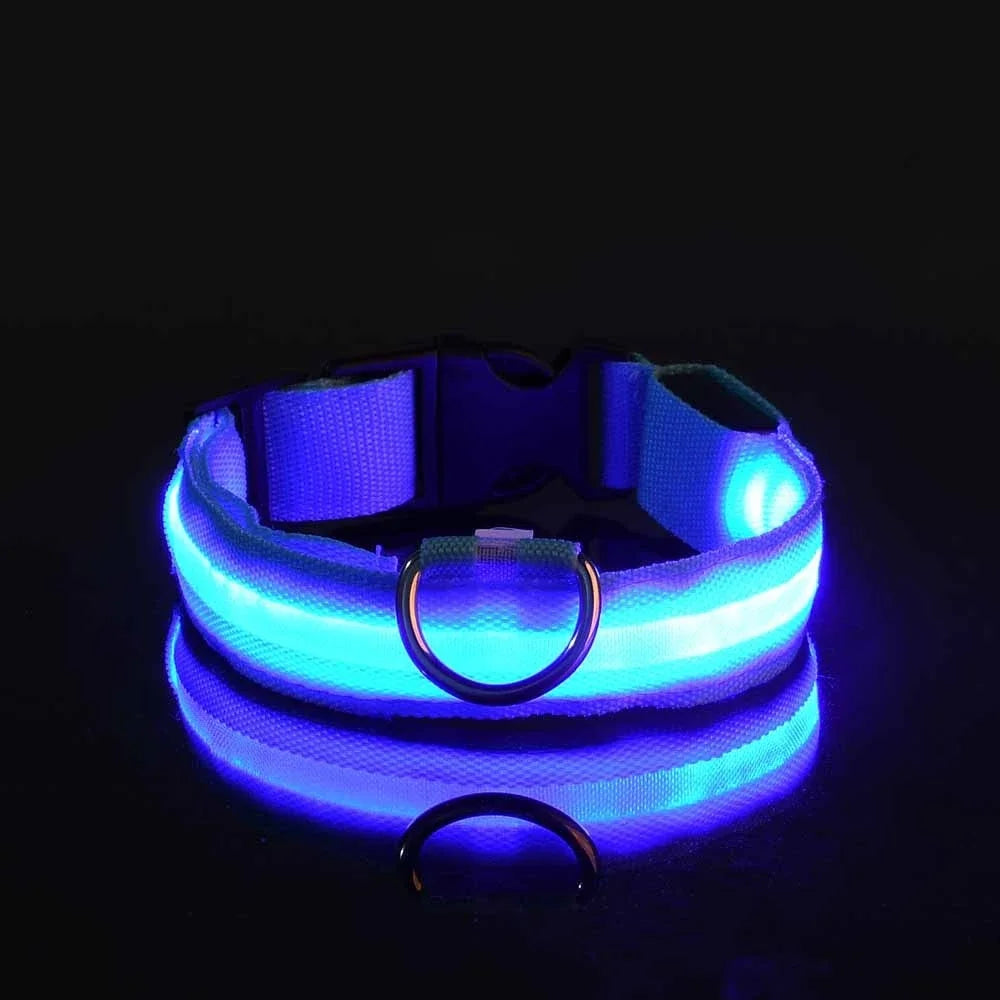 Neon Light Pet Collar