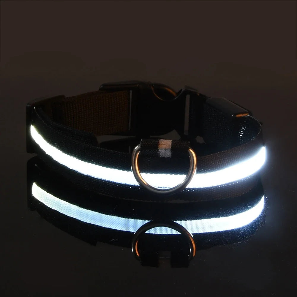 Neon Light Pet Collar