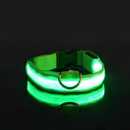 Neon Light Pet Collar