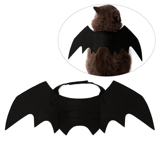 BatCat Wings