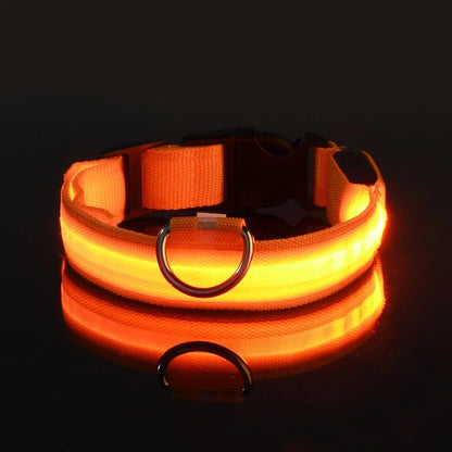 Neon Light Pet Collar