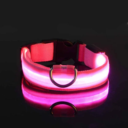 Neon Light Pet Collar