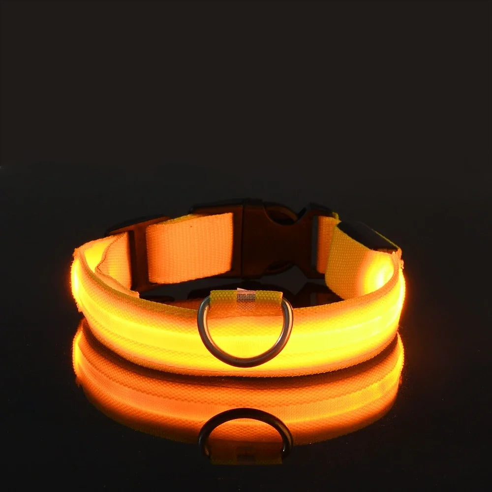 Neon Light Pet Collar