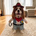 Cavalier in the Howdy Cowboy Costume with a cowboy hat