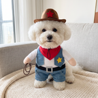 Bichon in the Howdy Cowboy Costume on the sofa