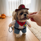 Shih Tzu in the Howdy Cowboy Costume getting a treat