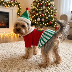 Yorkie in the Merry Elf Dress from behind, showing the Christmas tree patch