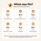 Honey Bear Costume size guide from XS to 2XL by chest and weight
