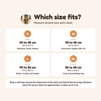 Jolly Jester Costume size guide from S to XL by chest