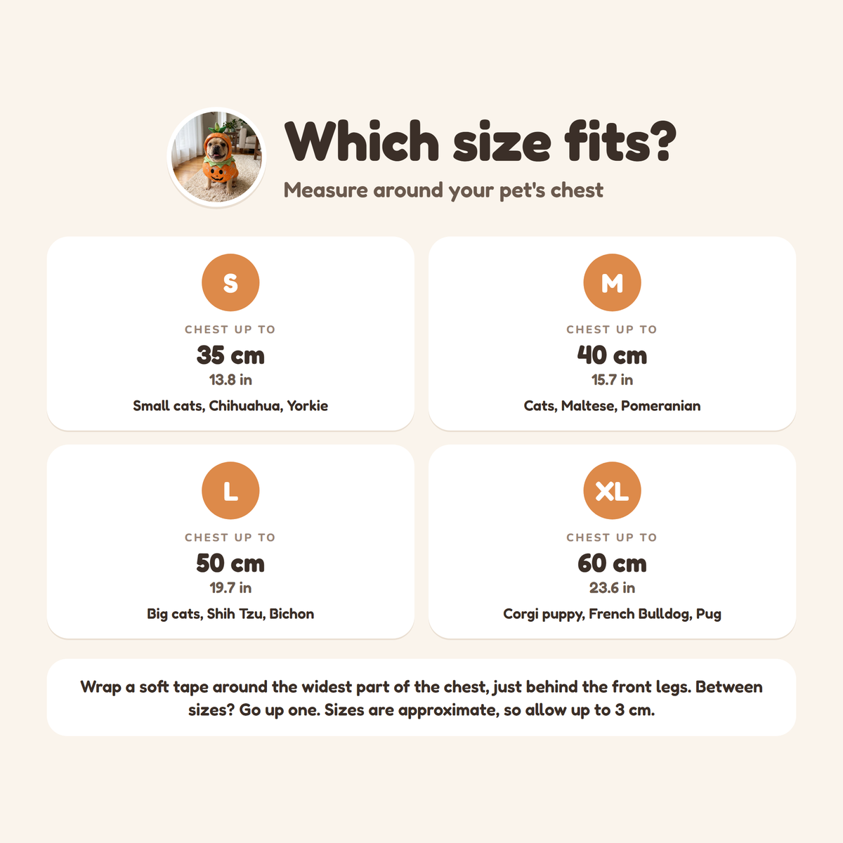 Little Pumpkin Costume size guide from S to XL by chest