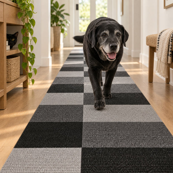Senior black labrador walking a PawProof tile path down a hallway